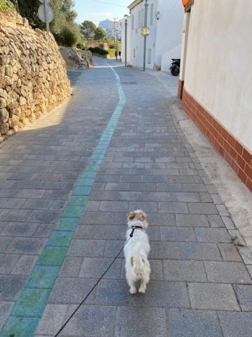 Altea Beachgate - Acceso Privado A La Playa المظهر الخارجي الصورة
